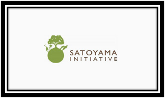 Japan and the Satoyama Initiative