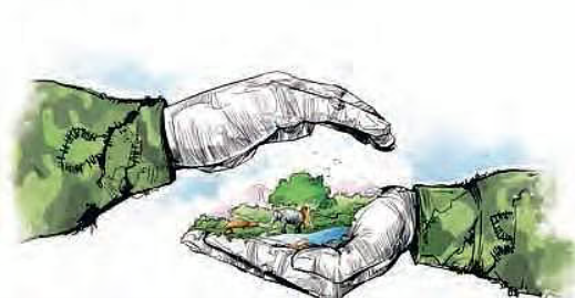 Why India Never Turned to Green Politics